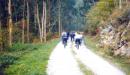 Ruta en bicicleta de montaña